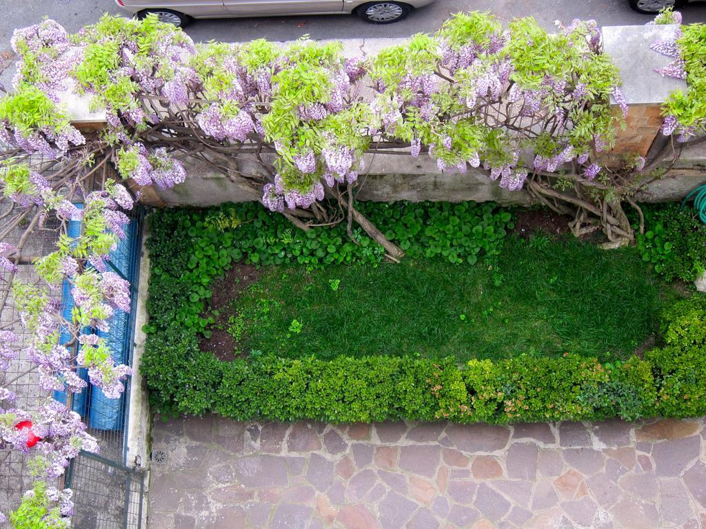 Appartamento Casa Del Glicine